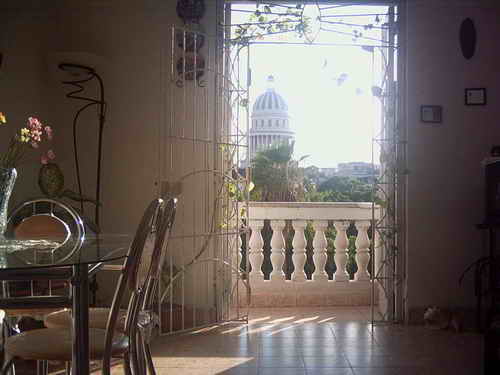 Living Room of the Particular house